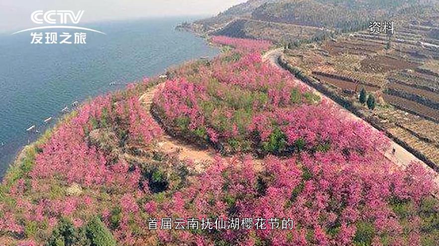 绿色跨越 生态澄江——《发现之旅》播出我公司抚仙湖樱花园生态发展理念