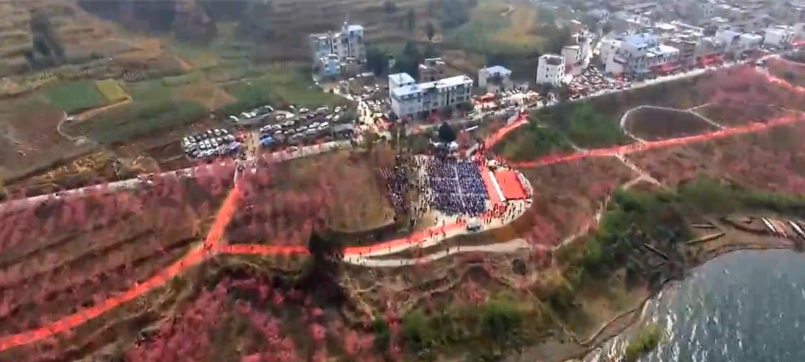 第二届云南抚仙湖樱花节开幕式全视频