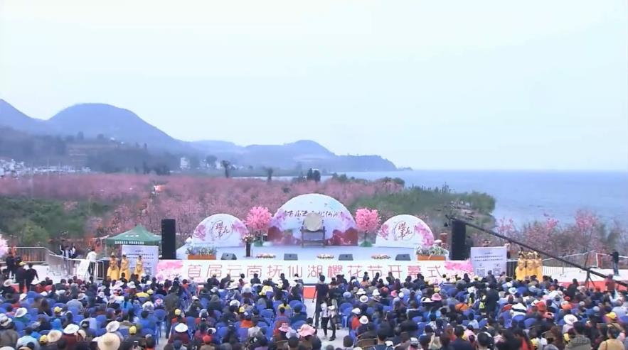 首届云南抚仙湖樱花节开幕式全视频