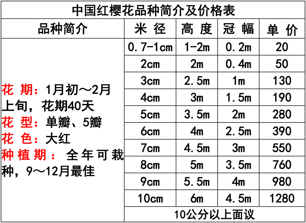 网站价格表 -6.jpg