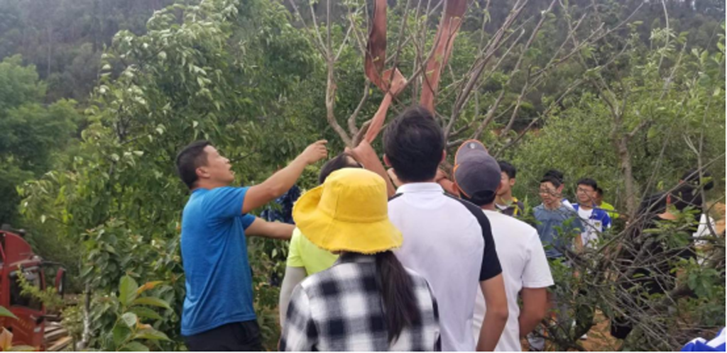 1749630123247863.png 2.png