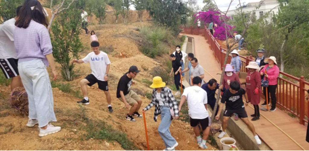 1749630135669574.png 3.png