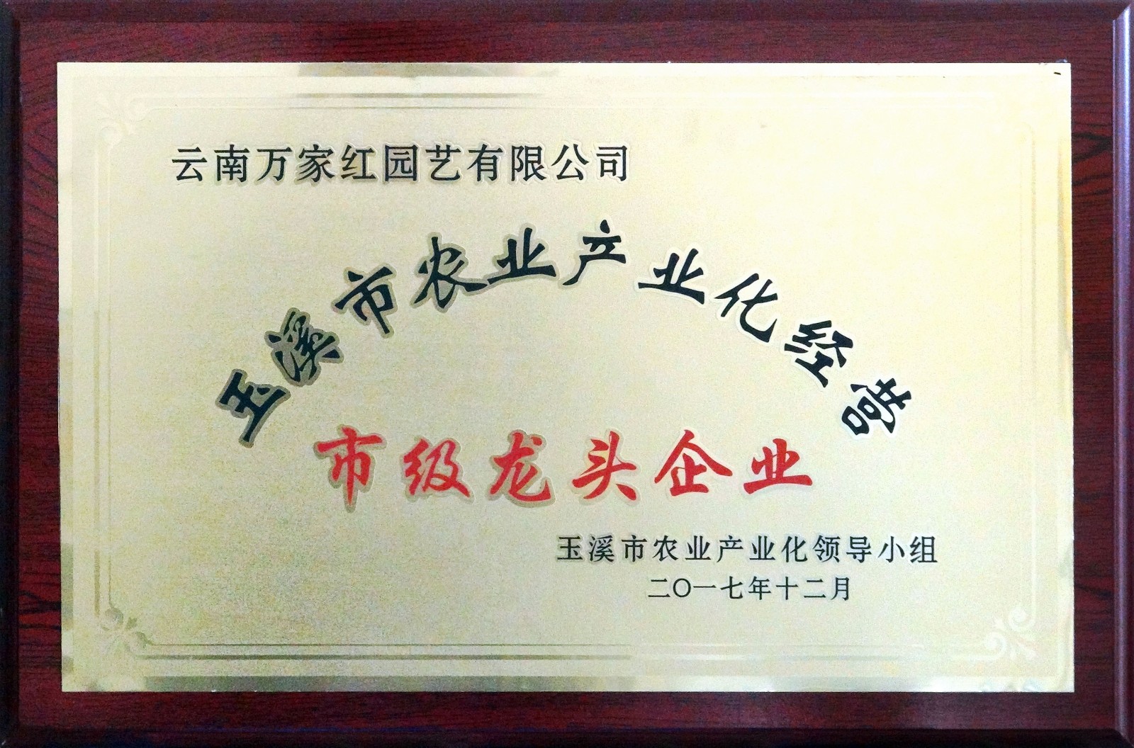 Provincial leading enterprise certificate