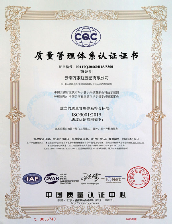 Quality Management System Certificate