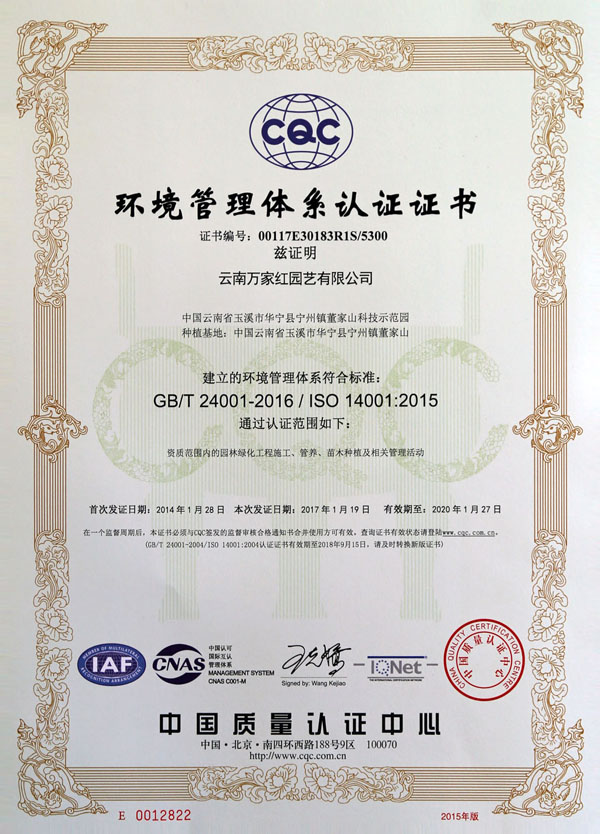 Environmental Management System Certificate