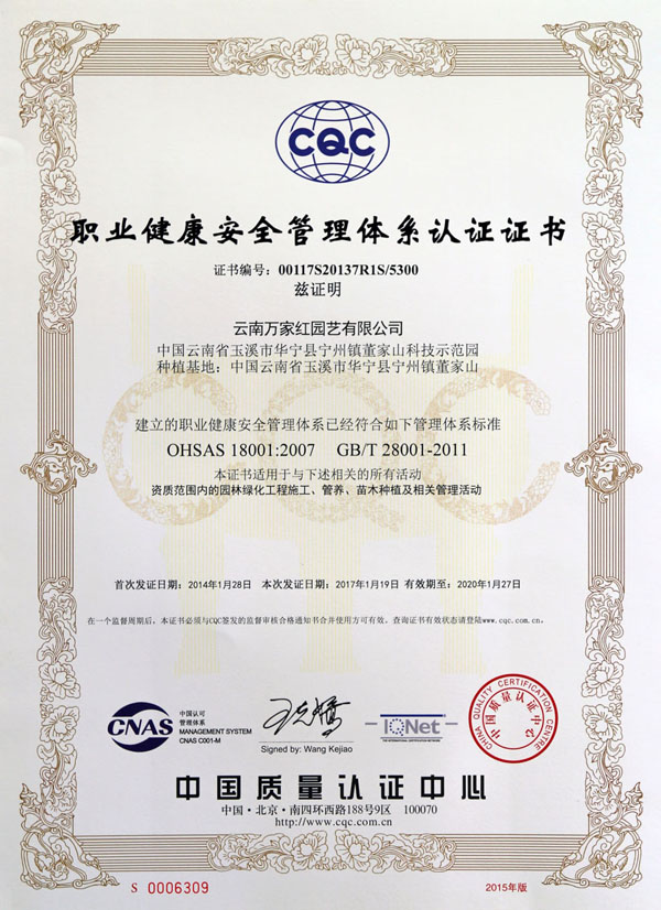 Occupational Health and Safety Management System Certificati