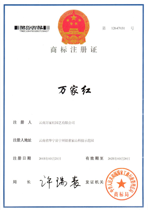 Wanjiahong brand trademark