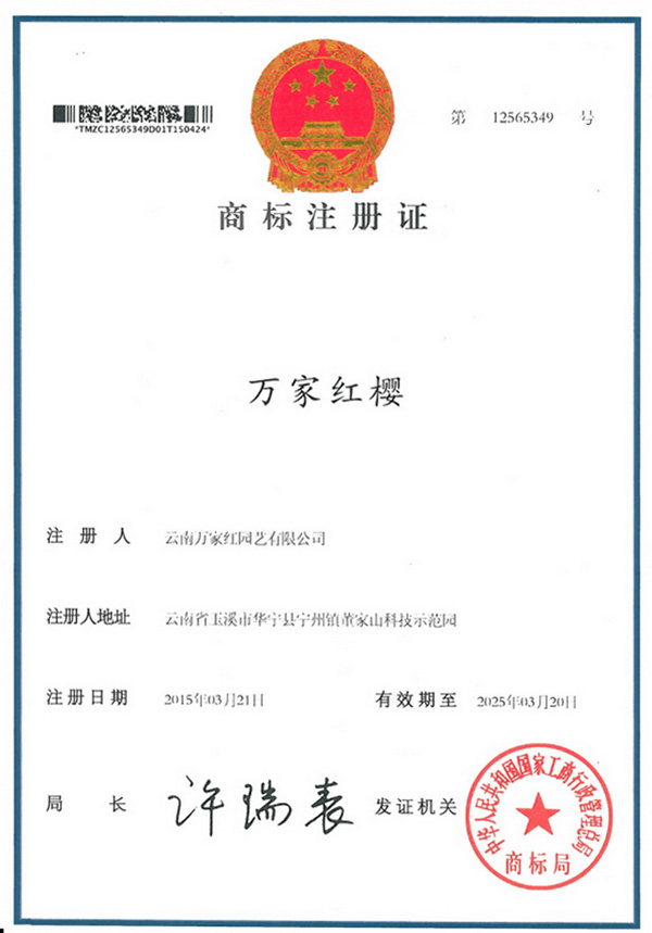 Wanjia red cherry brand trademark